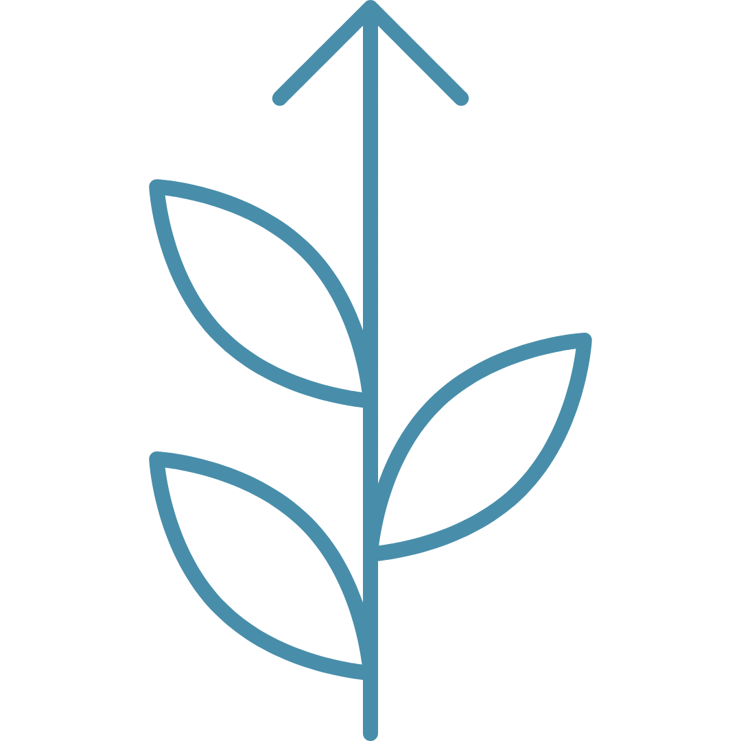 Growth icon